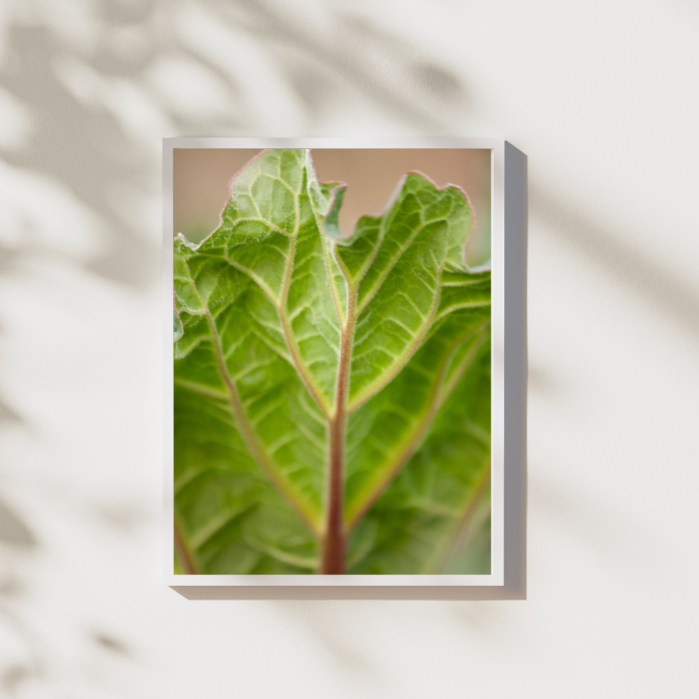Kevadine vitamiin